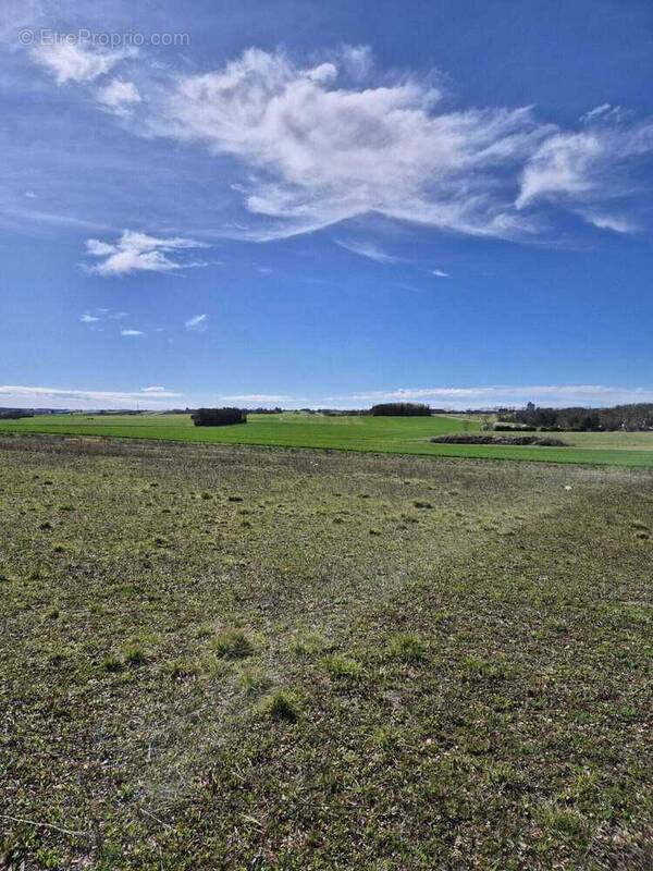 Terrain à TOURRIERS