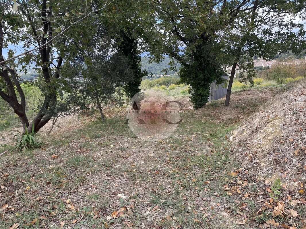 Terrain à MONTAUROUX