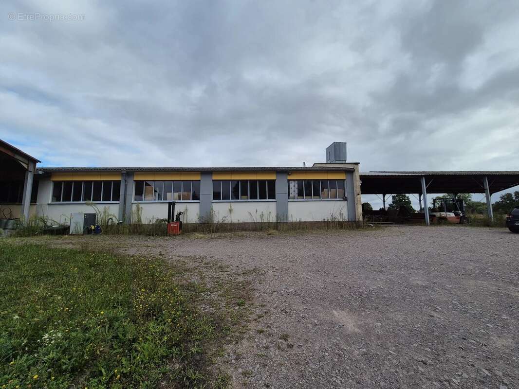 Commerce à ODRATZHEIM