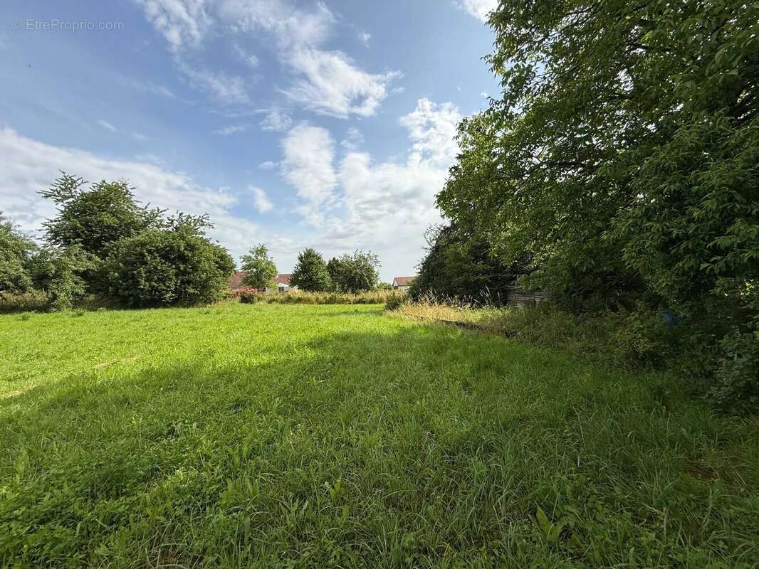 Grande ferme villageoise double indépendante à rénover – deux maisons, nombreuses dépendances, presque 1 hectare - photo 34