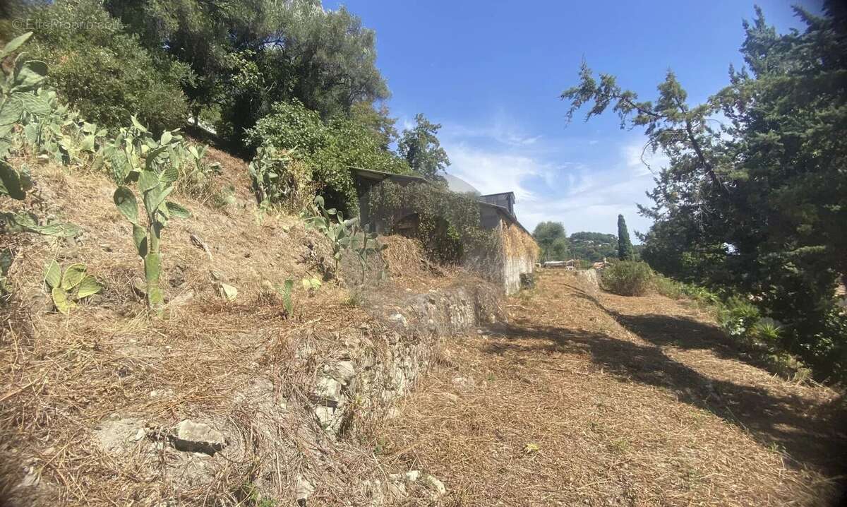 Terrain à GORBIO