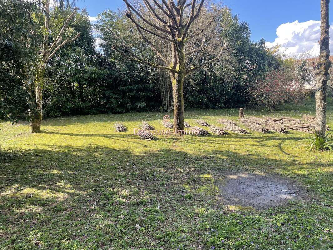 Terrain à CHATEAUBERNARD