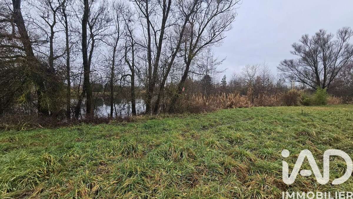 Photo 3 - Terrain à AY-SUR-MOSELLE