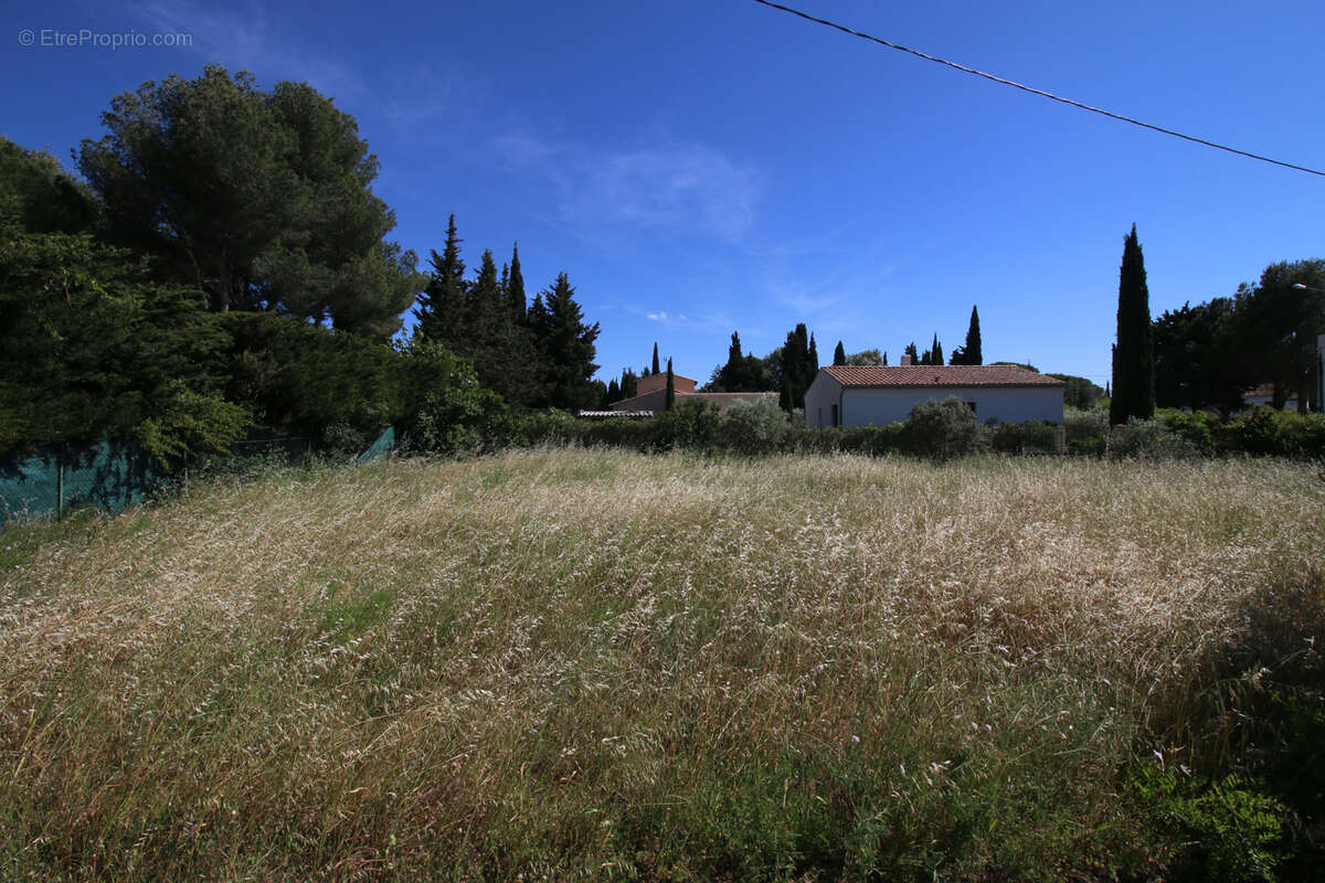 Terrain à FONTVIEILLE