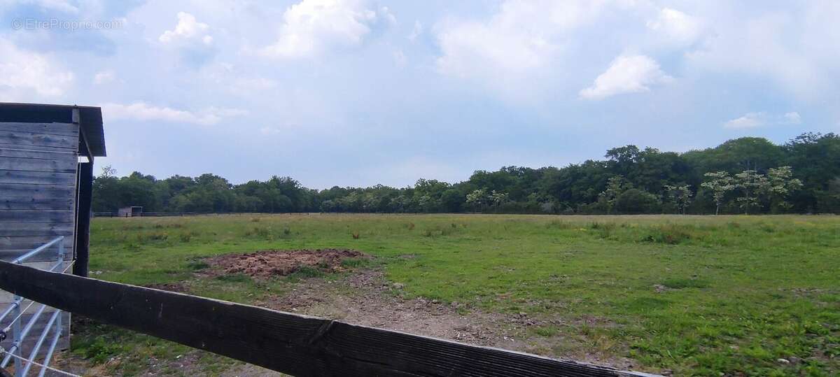 Maison à MEZIDON-CANON