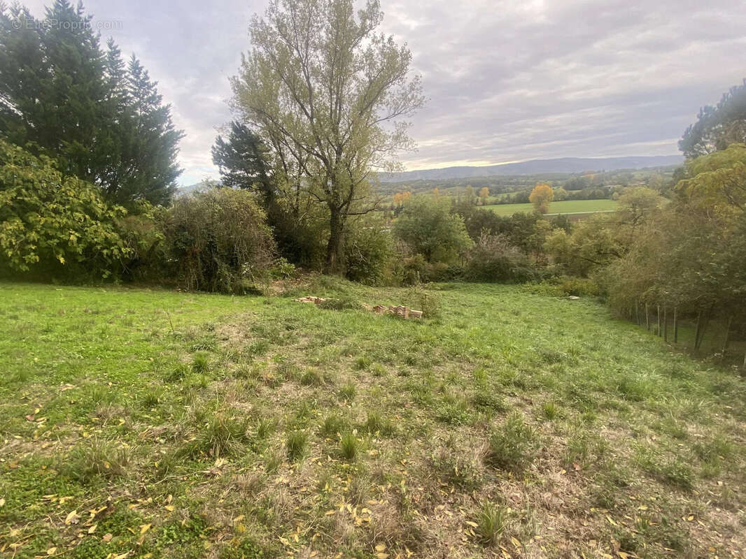 Terrain à VIVIERS-LES-MONTAGNES