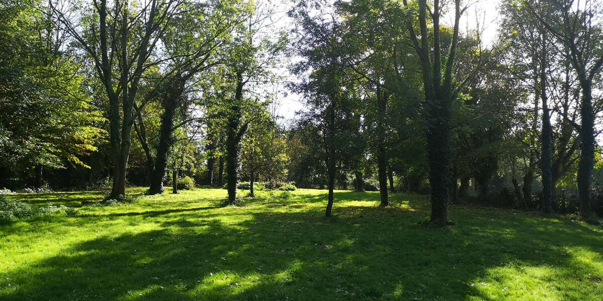 Maison à AVESNES-LE-COMTE