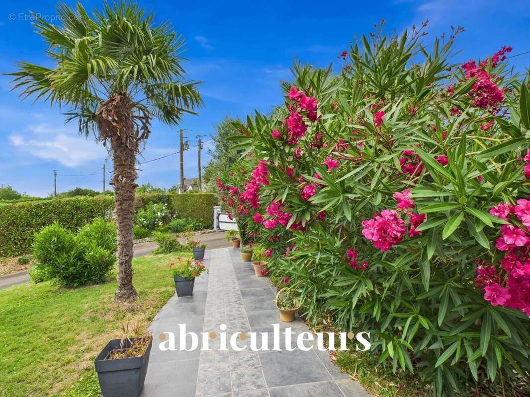 Maison à SAINT-HERBLON