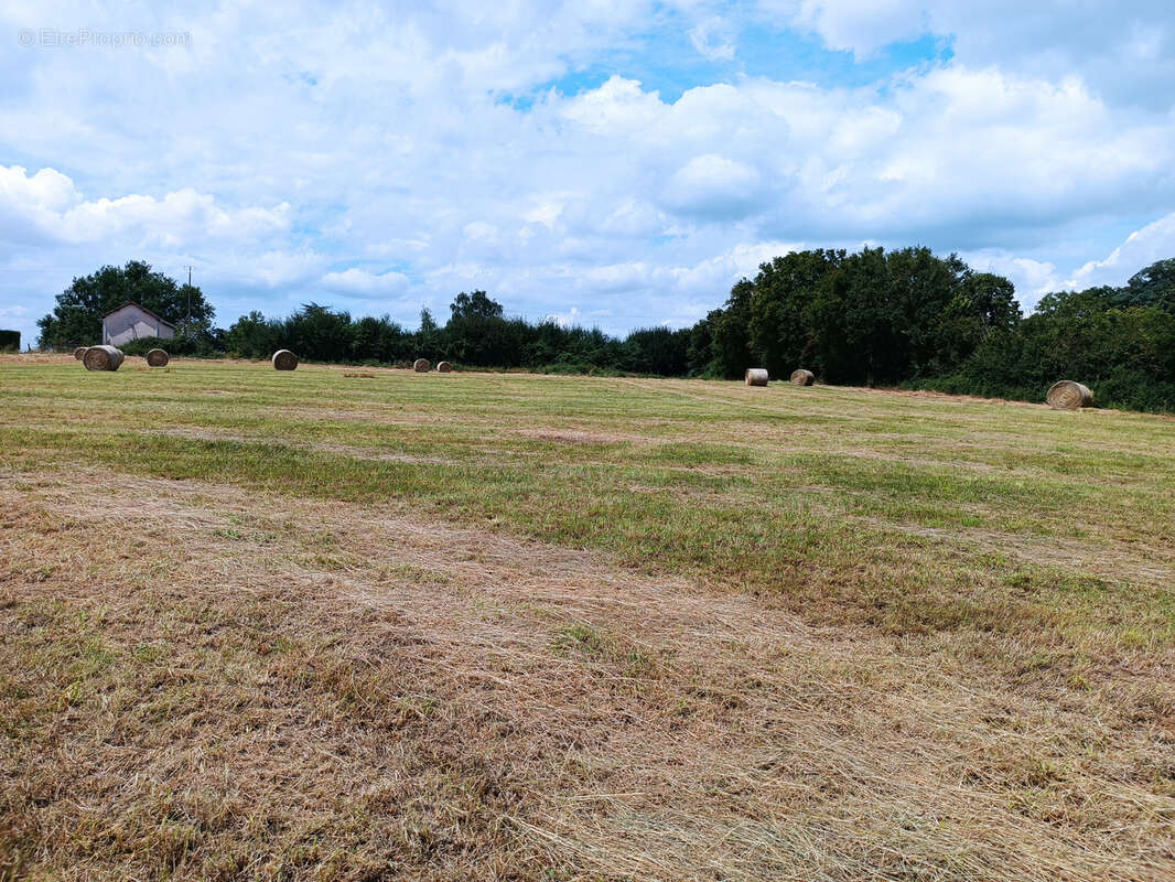 Terrain à OUROUER-LES-BOURDELINS