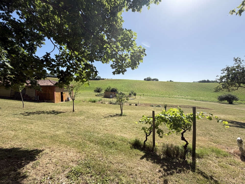 Propriété de 13 000 M2 avec maison de 200 M2 chai de 70 M2 et garage de 80 M2 - photo 22