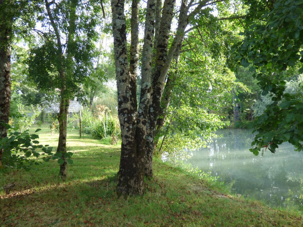 Maison à SAINT-FORT-SUR-GIRONDE