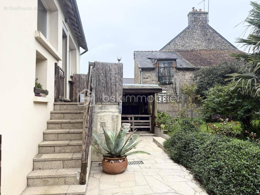 Maison à COLLINEE