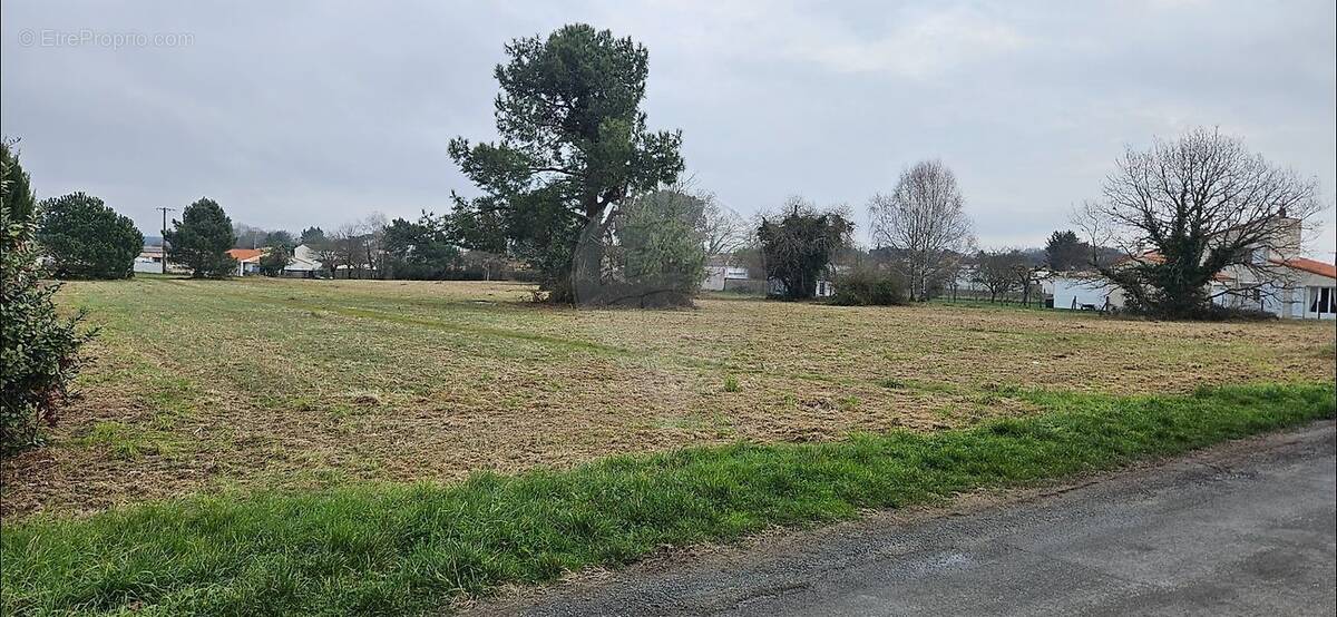 Terrain à SAINT-AUGUSTIN
