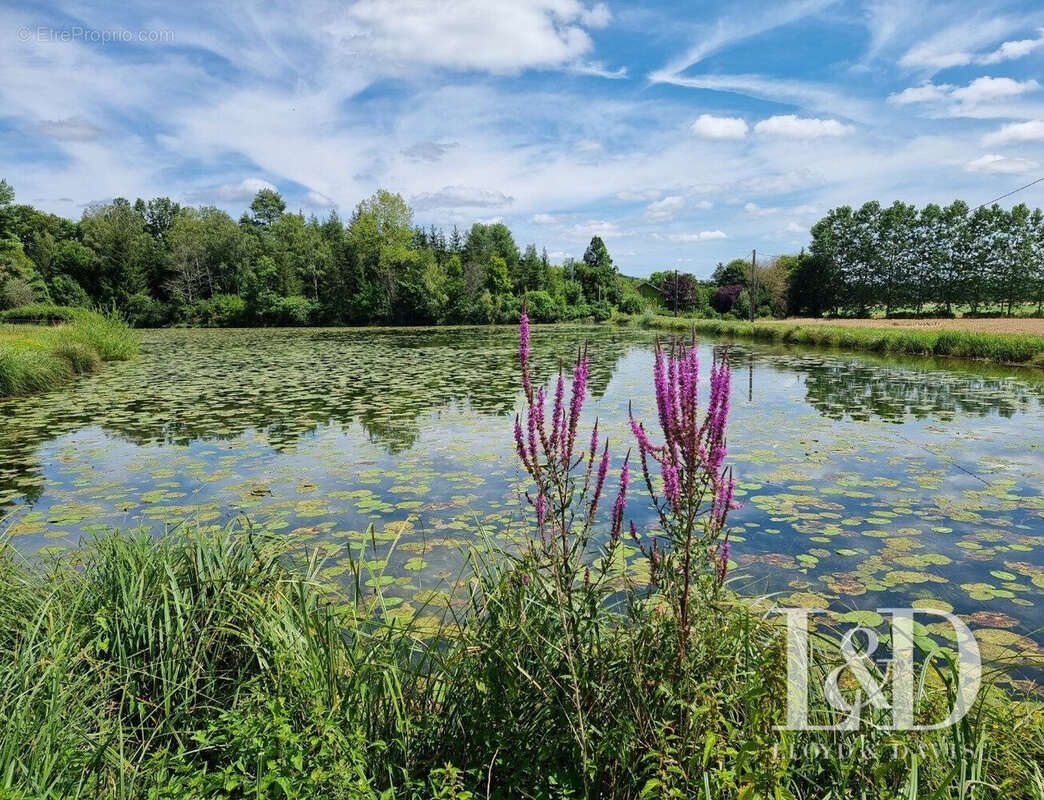 Maison à VOULAINES-LES-TEMPLIERS
