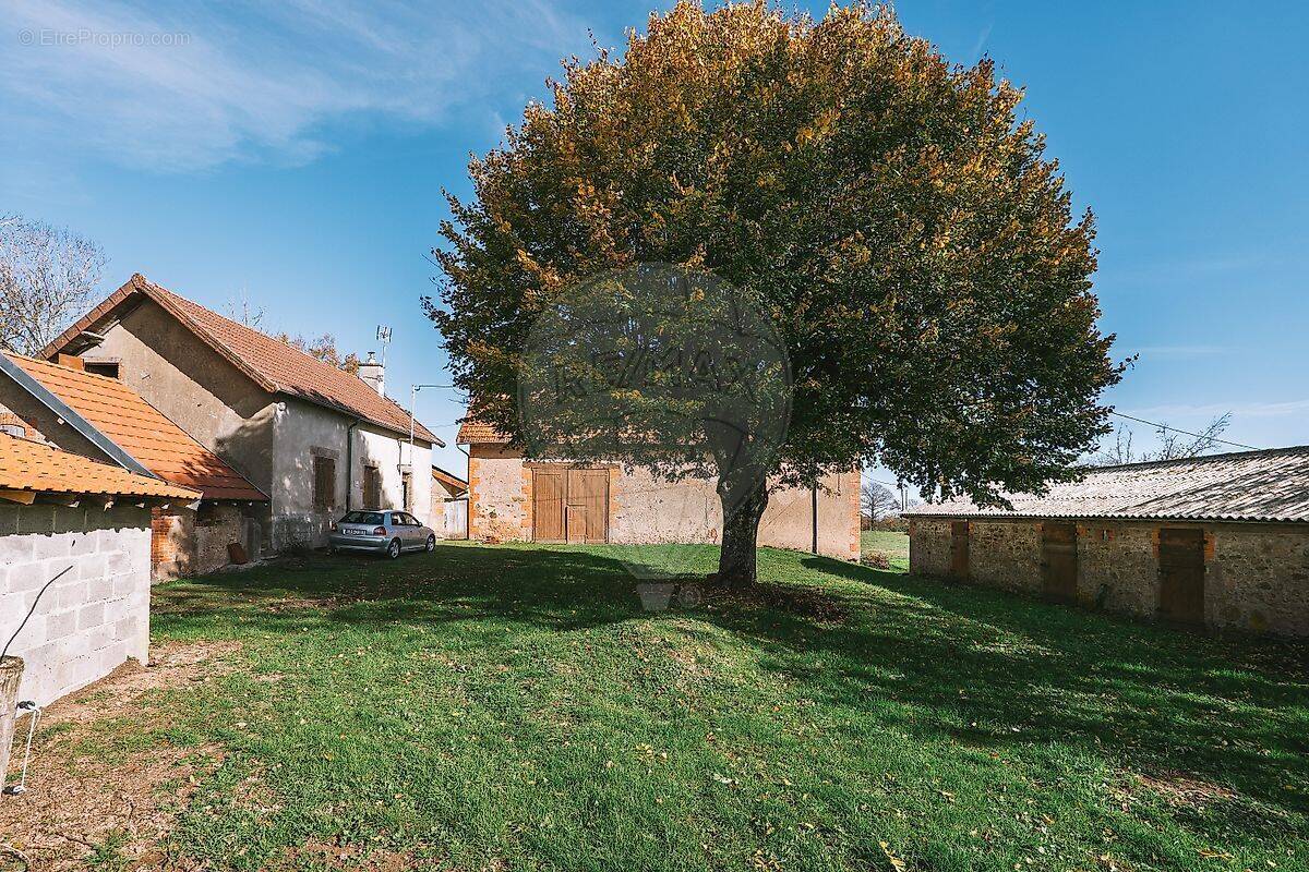 Maison à MONTAIGUET-EN-FOREZ