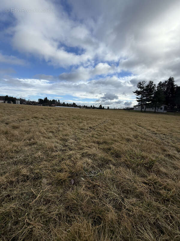 Terrain à SAINT-PAL-DE-MONS
