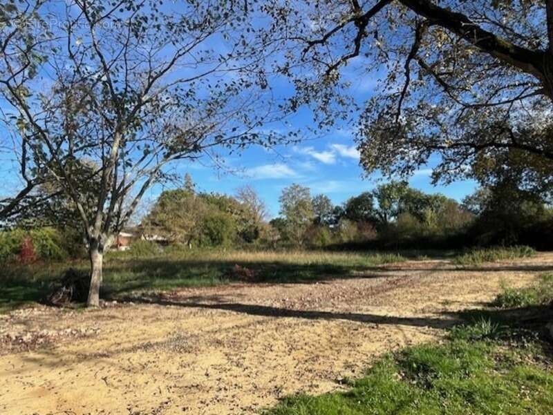 Terrain à PLAISANCE