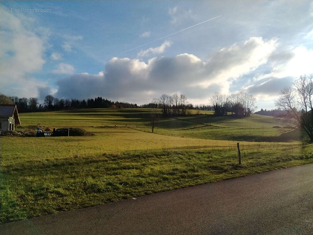 Terrain à SAINTE-ANNE