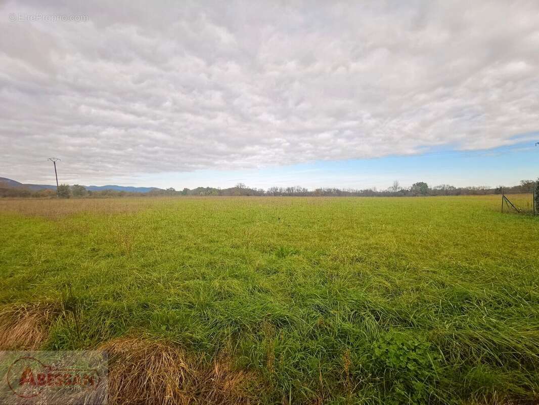 Terrain à SAINT-CHRISTOL-LES-ALES