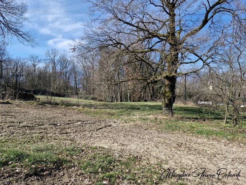 Terrain à GRESY-SUR-AIX