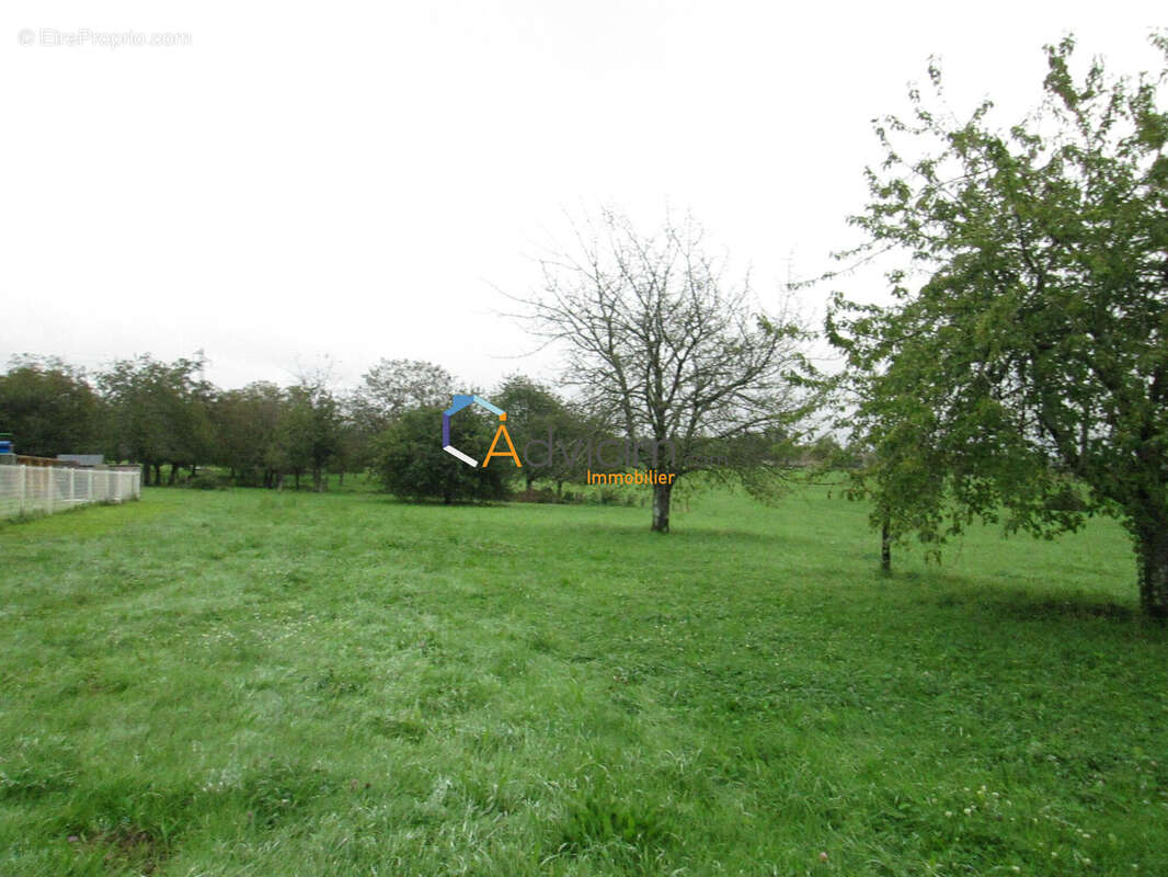Terrain à LA BRUYERE