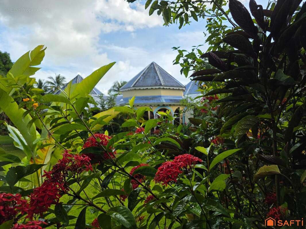 Photo 7 - Maison à SAINTE-ROSE