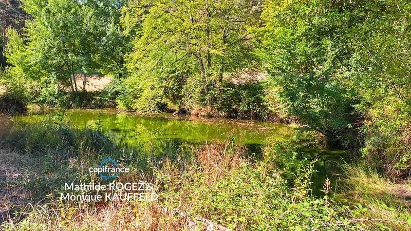 Domaine de caractère sur 45 hectares avec étang - Courpière - photo 19