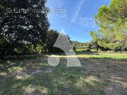 Terrain à LE POUGET