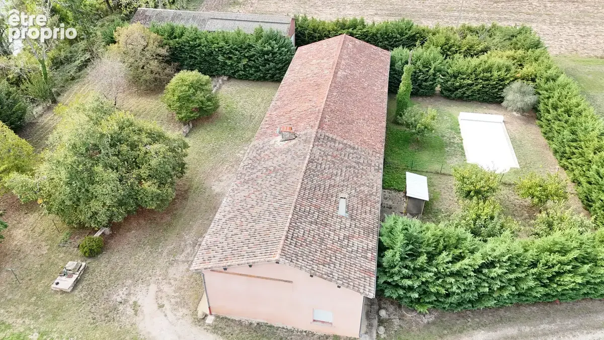 Idéal promoteur,10 minutes de Fronton, ferme avec piscine et dépendances !!!  4660 m² de terrain ! - photo 18