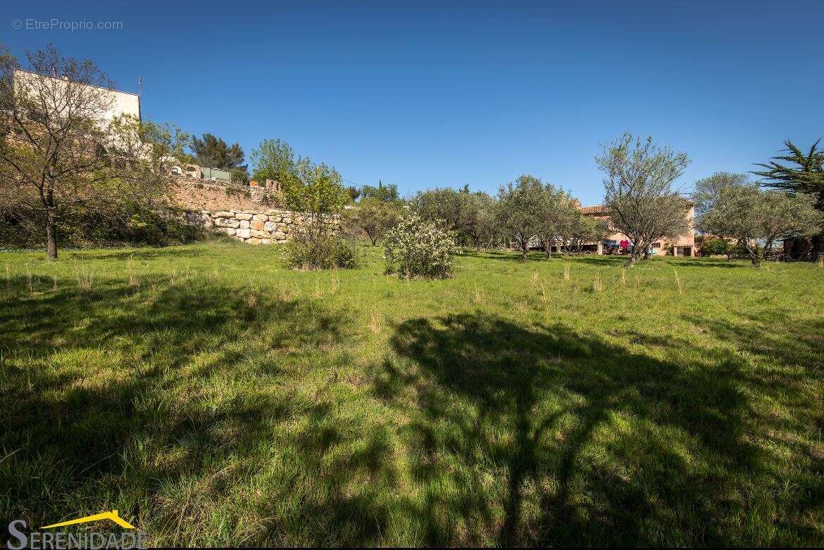 Terrain 2657 m² à Pezenas  - photo 5