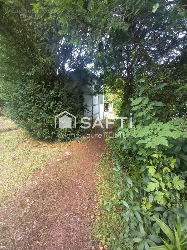 Photo 2 - Maison à LOCHES