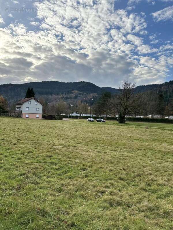 IMG_7710 - Terrain à SAULXURES-SUR-MOSELOTTE