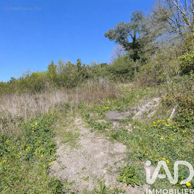 Photo 1 - Terrain à SAINT-PRIEST-EN-JAREZ