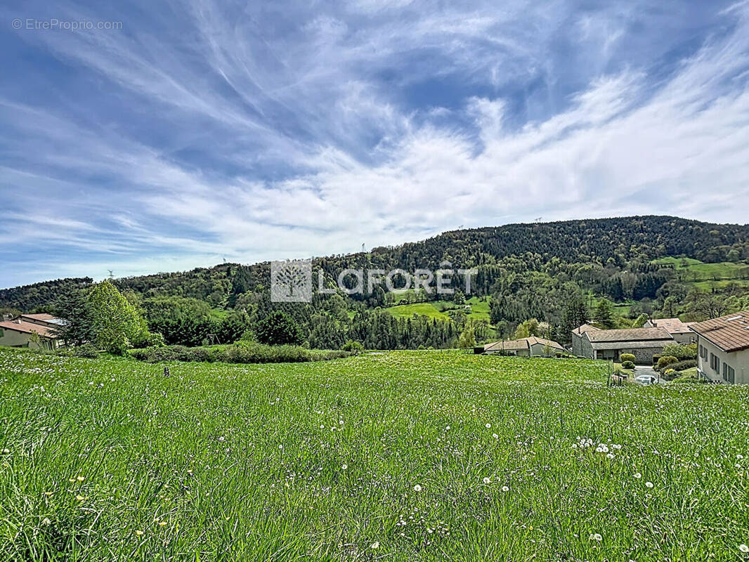 Terrain à POLIGNAC
