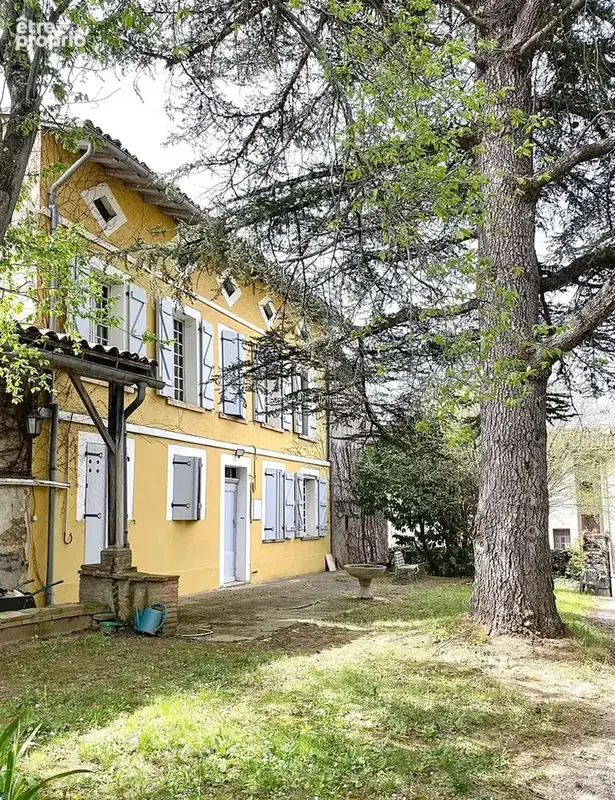 Maison de maître  à montesquieu- volvestre - photo 3