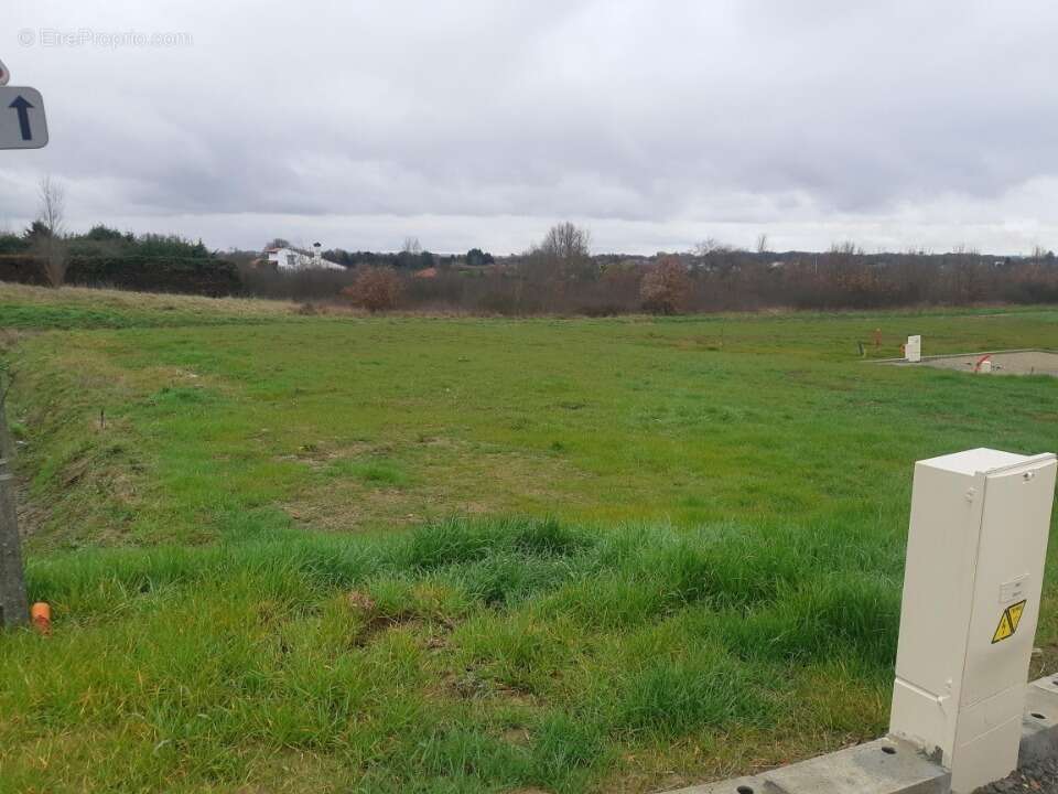 Terrain à CASTELGINEST
