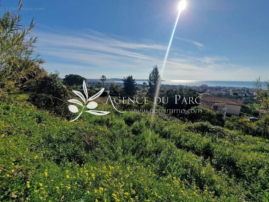 Terrain à VALLAURIS