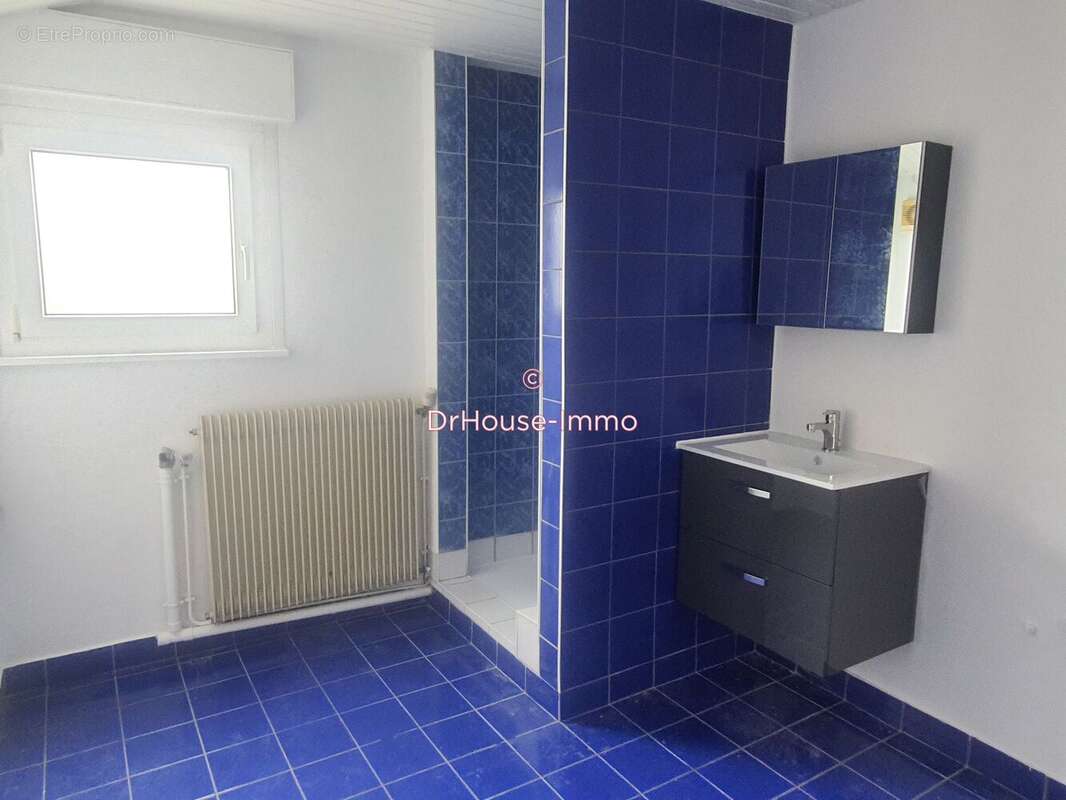 Appartement à DANNEMARIE