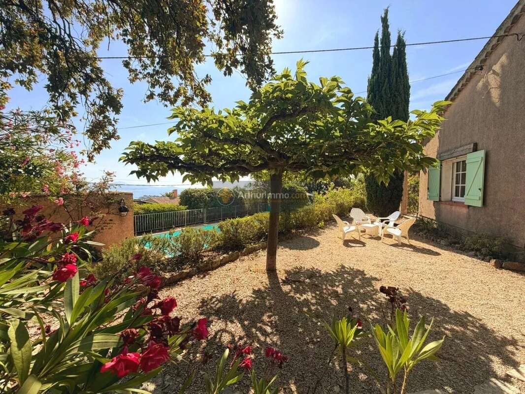 Coup de Coeur ST AYGULF Plain Pied Avec Vue mer - photo 3