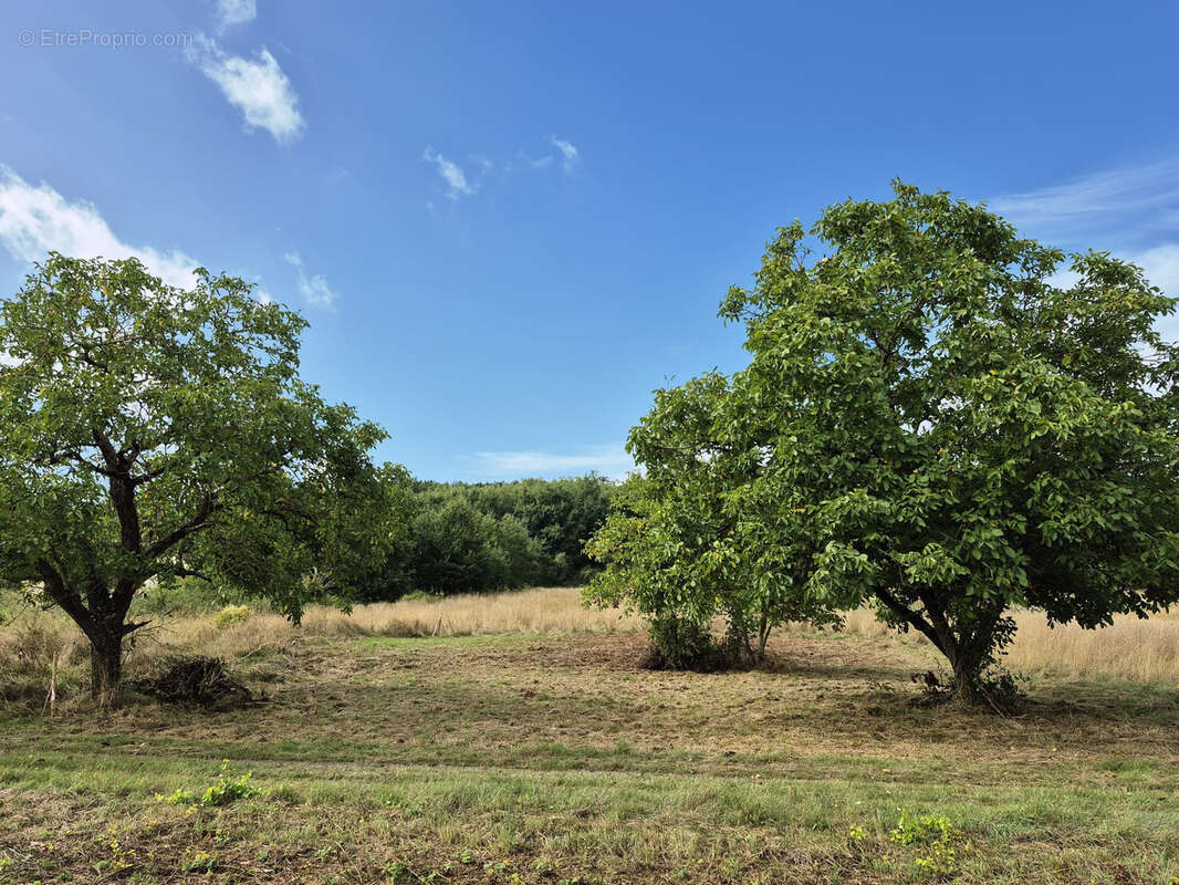 Terrain à MAREUIL-SUR-CHER
