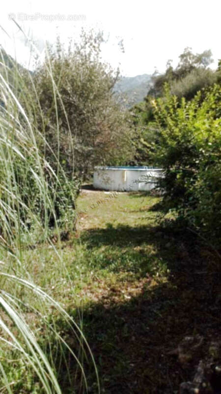 Maison à BREIL-SUR-ROYA