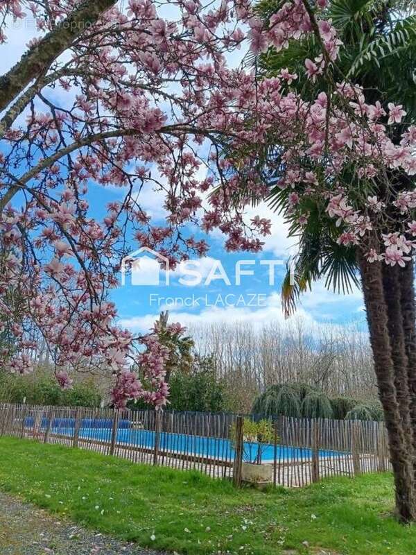 Photo 6 - Maison à NOGARO