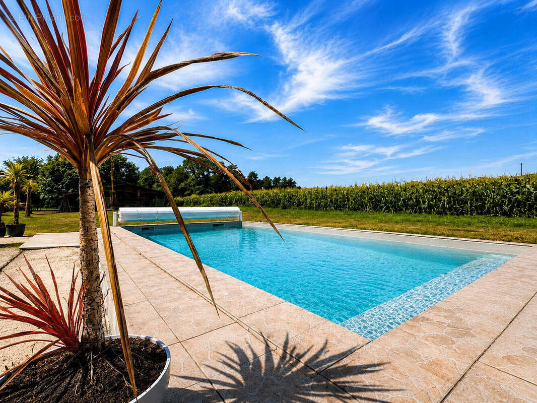 Maison 164 m² à Saint-Geours-De-Maremne  - photo 3