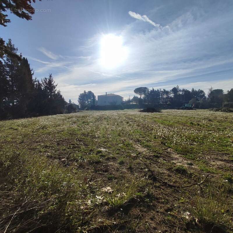 Terrain à MOUSSAN