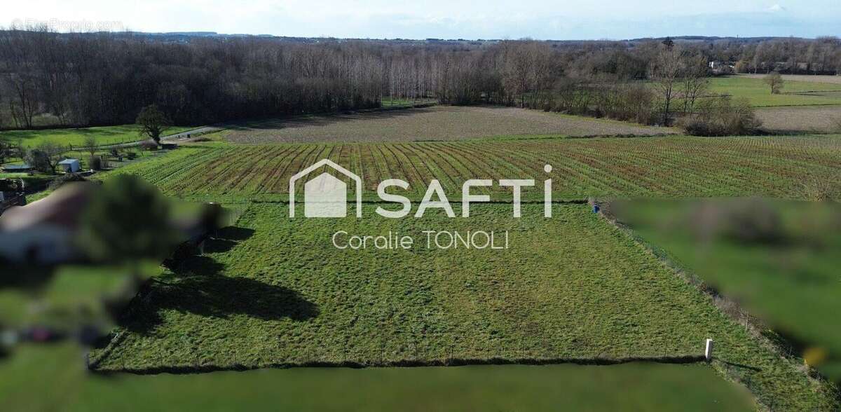 Terrain 2614 m² à Bassac  - photo 4