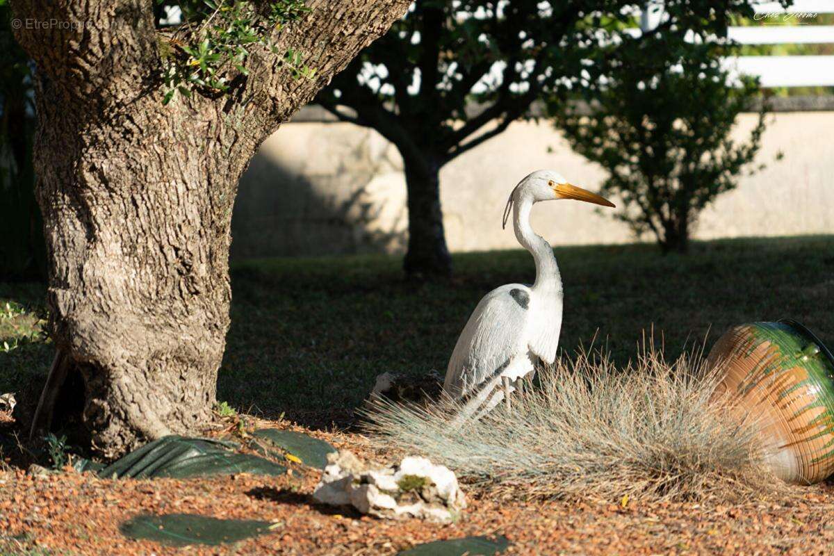 Maison à NOTRE-DAME-D'OE