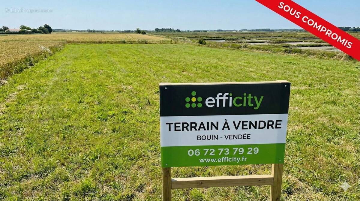 Terrain à BOUIN