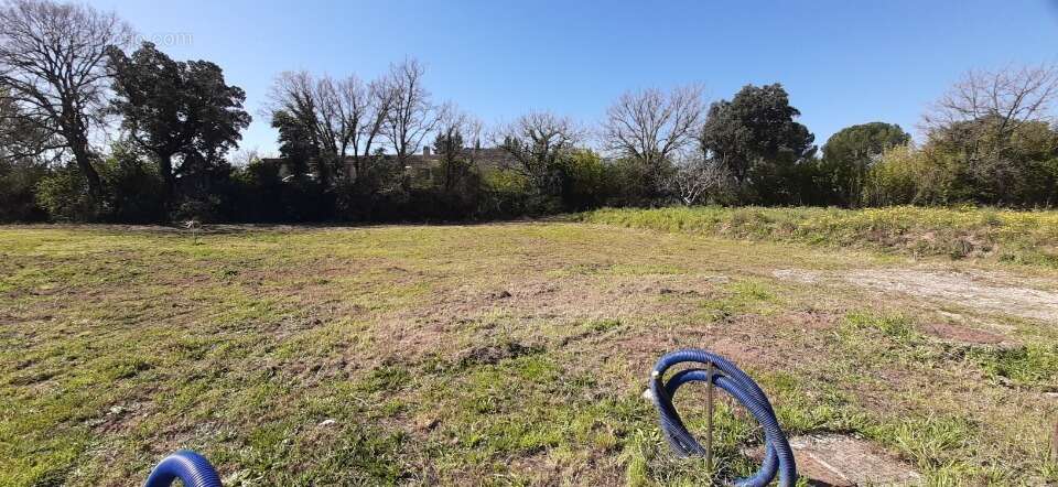 Terrain à PUGET-SUR-ARGENS
