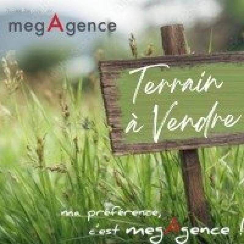 Terrain à SAINT-SIMON-DE-BORDES