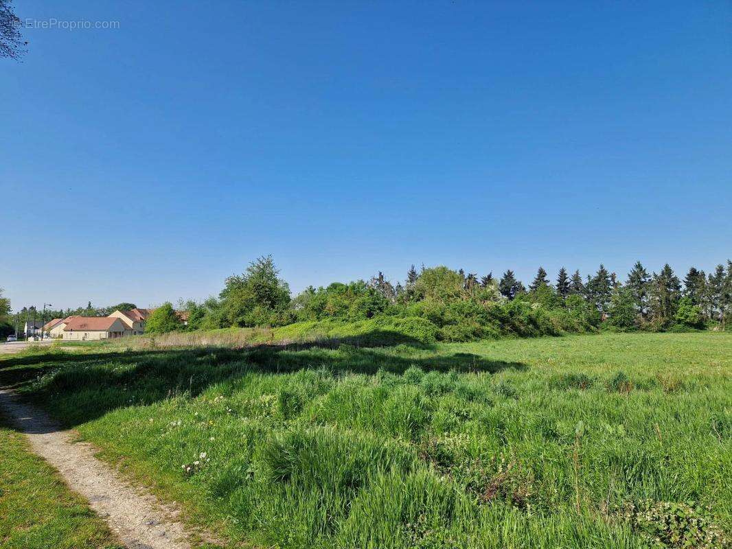 Terrain à BAZICOURT